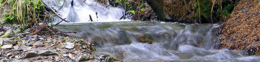 Wasser Abwasser -Zweckverband Rennsteigwasser - Neuhaus am Rennweg