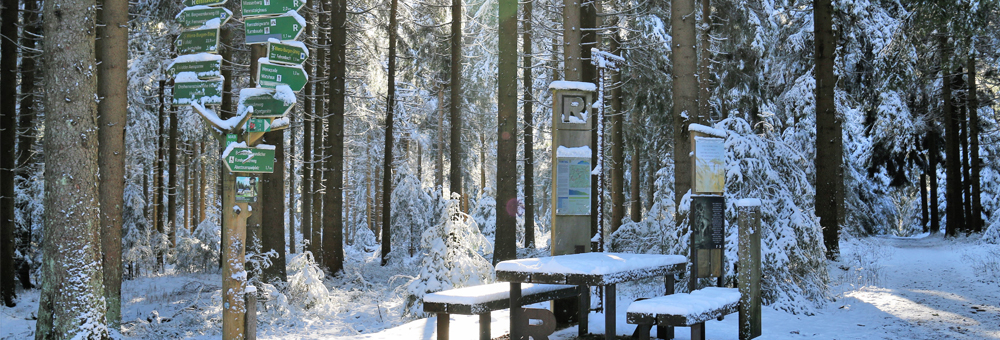 Startseite_Winter_1