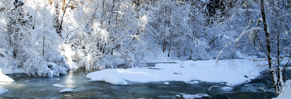 Startseite_Winter_2