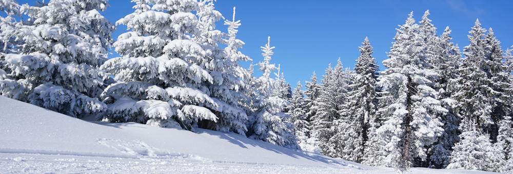 Startseite_Winter_3