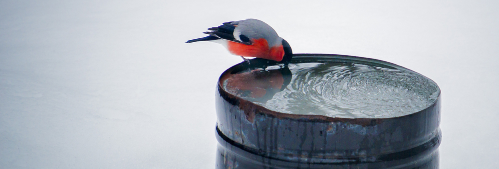 Startseite_Winter_4